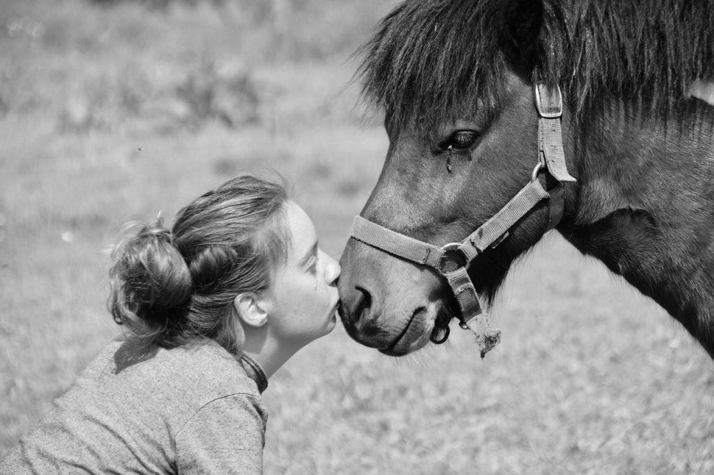 Shetland Pony Pony Girl Kiss Woman - JACLOU-DL / Pixabay